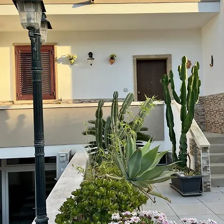B&B Girasole